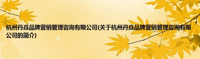 杭州丹焱品牌营销管理咨询有限公司(关于杭州丹焱品牌营销管理咨询有限公司的简介)