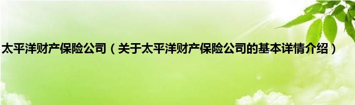 太平洋财产保险公司（关于太平洋财产保险公司的基本详情介绍）