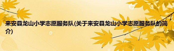 来安县龙山小学志愿服务队(关于来安县龙山小学志愿服务队的简介)