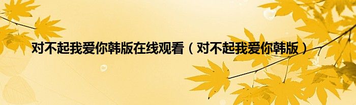 对不起我爱你韩版在线观看（对不起我爱你韩版）