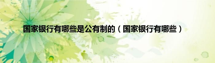 国家银行有哪些是公有制的（国家银行有哪些）
