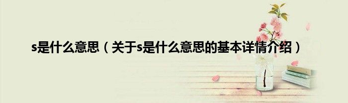 s是什么意思（关于s是什么意思的基本详情介绍）
