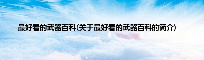 最好看的武器百科(关于最好看的武器百科的简介)