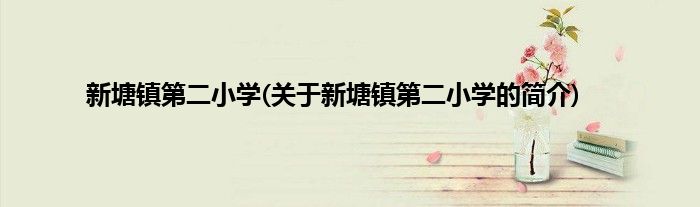 新塘镇第二小学(关于新塘镇第二小学的简介)