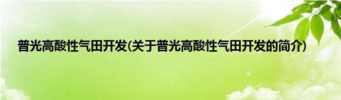 普光高酸性气田开发(关于普光高酸性气田开发的简介)