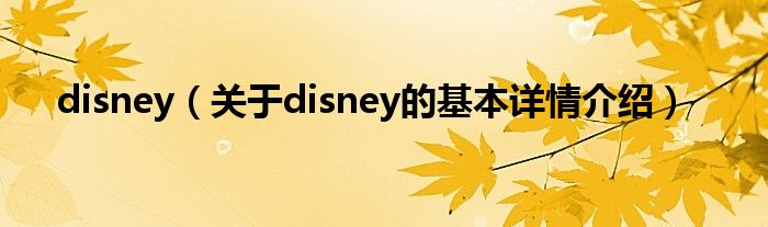 disney（关于disney的基本详情介绍）