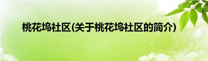 桃花坞社区(关于桃花坞社区的简介)