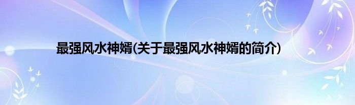 最强风水神婿(关于最强风水神婿的简介)