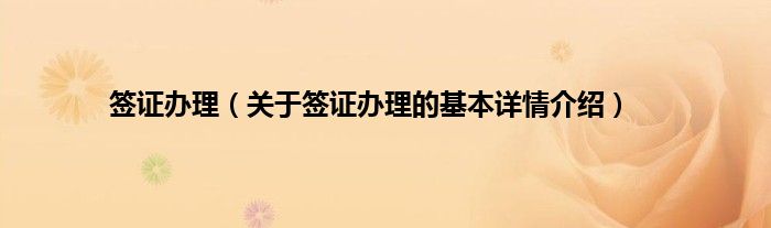 签证办理（关于签证办理的基本详情介绍）