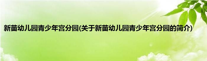 新苗幼儿园青少年宫分园(关于新苗幼儿园青少年宫分园的简介)