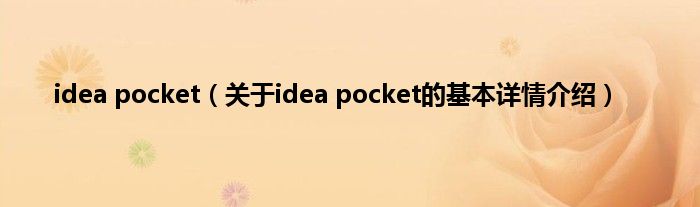 idea pocket（关于idea pocket的基本详情介绍）