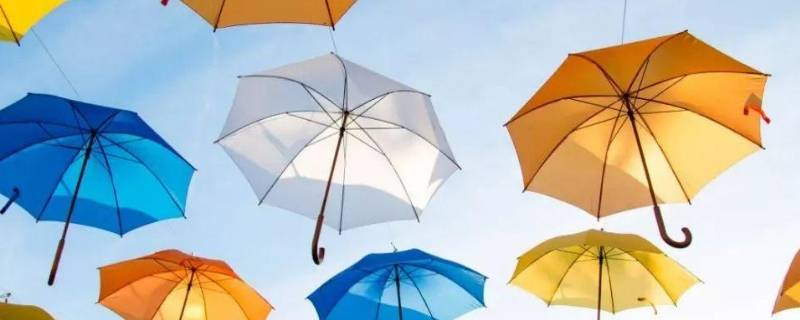 雨伞又什么又什么填空