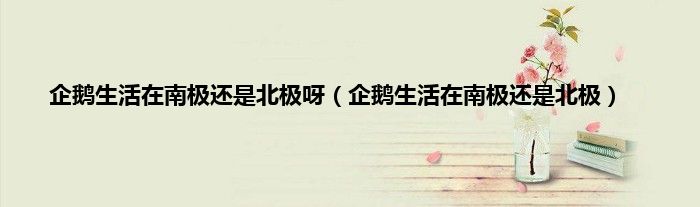 企鹅生活在南极还是北极呀（企鹅生活在南极还是北极）