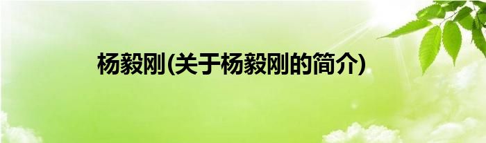 杨毅刚(关于杨毅刚的简介)