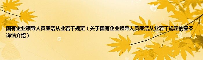 国有企业领导人员廉洁从业若干规定（关于国有企业领导人员廉洁从业若干规定的基本详情介绍）