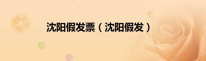 沈阳假发票（沈阳假发）