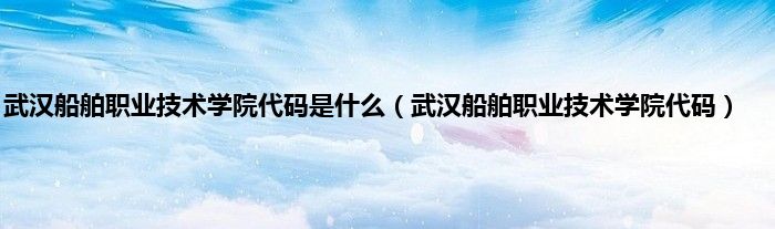 武汉船舶职业技术学院代码是什么（武汉船舶职业技术学院代码）