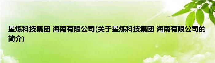 星炼科技集团 海南有限公司(关于星炼科技集团 海南有限公司的简介)