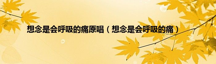 想念是会呼吸的痛原唱（想念是会呼吸的痛）