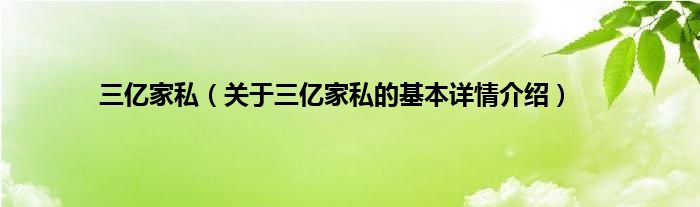 三亿家私（关于三亿家私的基本详情介绍）