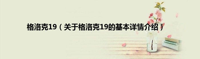 格洛克19（关于格洛克19的基本详情介绍）