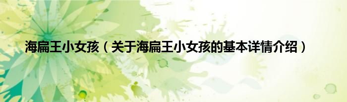 海扁王小女孩（关于海扁王小女孩的基本详情介绍）