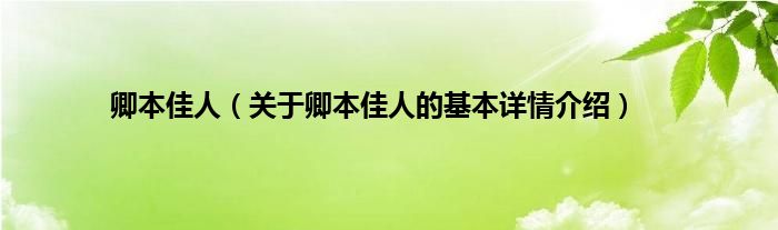 卿本佳人（关于卿本佳人的基本详情介绍）
