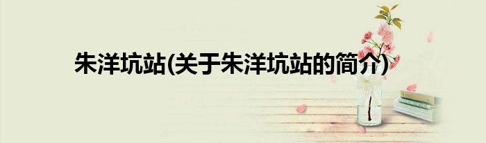 朱洋坑站(关于朱洋坑站的简介)