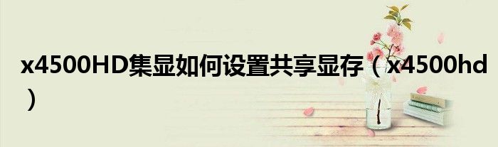 x4500HD集显如何设置共享显存（x4500hd）