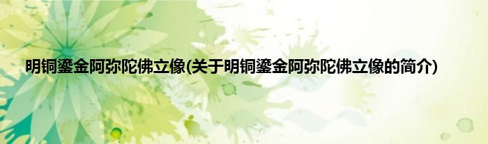 明铜鎏金阿弥陀佛立像(关于明铜鎏金阿弥陀佛立像的简介)