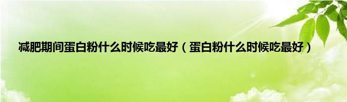 减肥期间蛋白粉什么时候吃最好（蛋白粉什么时候吃最好）