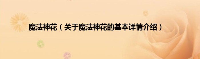 魔法神花（关于魔法神花的基本详情介绍）