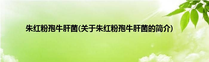 朱红粉孢牛肝菌(关于朱红粉孢牛肝菌的简介)