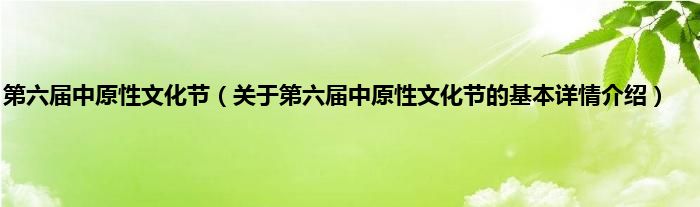 第六届中原性文化节（关于第六届中原性文化节的基本详情介绍）