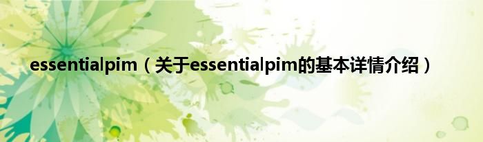 essentialpim（关于essentialpim的基本详情介绍）