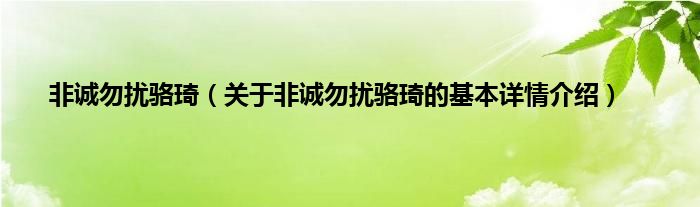 非诚勿扰骆琦（关于非诚勿扰骆琦的基本详情介绍）