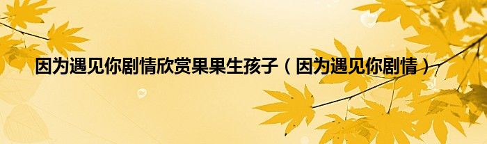 因为遇见你剧情欣赏果果生孩子（因为遇见你剧情）