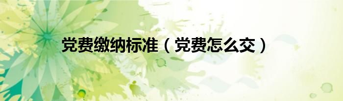 党费缴纳标准（党费怎么交）