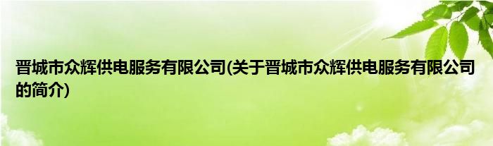 晋城市众辉供电服务有限公司(关于晋城市众辉供电服务有限公司的简介)