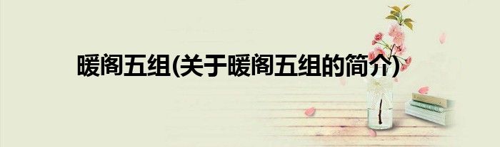 暖阁五组(关于暖阁五组的简介)
