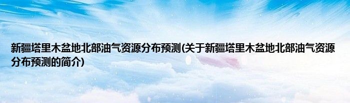 新疆塔里木盆地北部油气资源分布预测(关于新疆塔里木盆地北部油气资源分布预测的简介)
