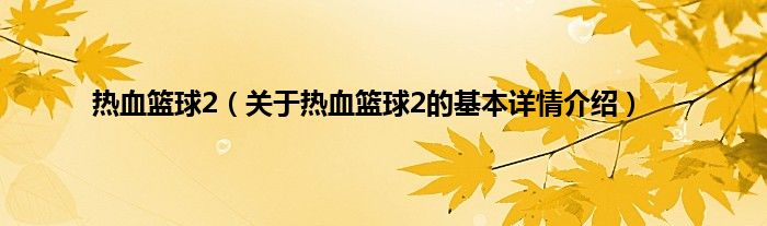 热血篮球2（关于热血篮球2的基本详情介绍）