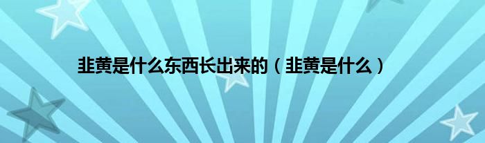 韭黄是什么东西长出来的（韭黄是什么）