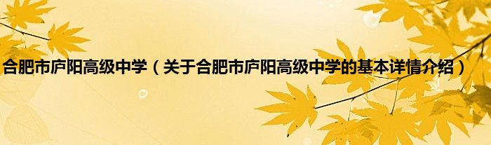 合肥市庐阳高级中学（关于合肥市庐阳高级中学的基本详情介绍）