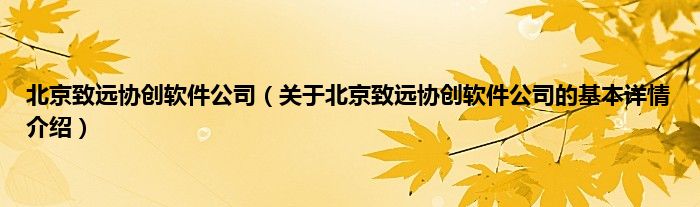 北京致远协创软件公司（关于北京致远协创软件公司的基本详情介绍）