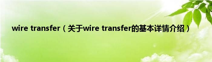 wire transfer（关于wire transfer的基本详情介绍）