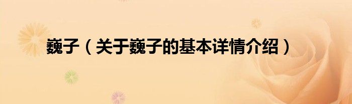 巍子（关于巍子的基本详情介绍）