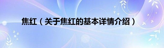 焦红（关于焦红的基本详情介绍）