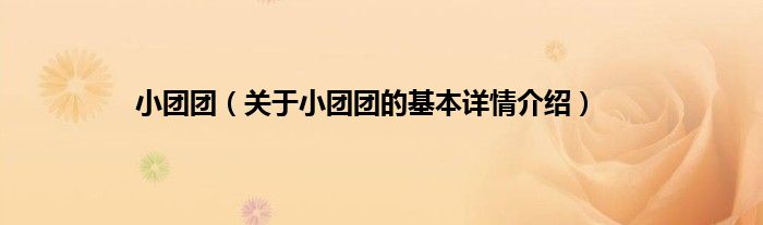 小团团（关于小团团的基本详情介绍）