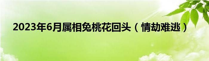 2023年6月属相兔桃花回头（情劫难逃）